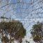 Gothic Type Polycarbonate Greenhouse