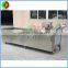 New developed fruit and vegetable washer machine with ozone, automatic air bubble fruit and vegetable cleaner