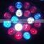 18W par38 led grow light bulb E27 for aero garden
