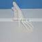 2015 new jewelry display hand mannequin sale
