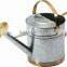 5L High Quality Garden Decoration/ Zinc Flower Planter Pot & Watering can/ Brass Rosette