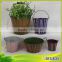Long Life Latest Variety Style Orchid Pot for Home and Garden