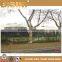 Sports Park Tennis Court Membrane Structure,Fast Install Design Tensile Membrane Structure for Stadium(BF08-Y10031)