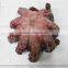 Frozen Octopus Pieces