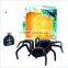 ICTI Electronic plastic bug spider toys,childrens moving spider toys gift toy wholesale