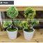 New design potted plant for house design new product on China market