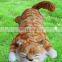 Cat rolling on the ground electronic toys