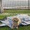 Beach Blanket Sand Proof, Water Proof Picnic Blanket. Large 59x59 Inch Padded Outdoor Blanket