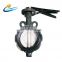 4 inch 8 inch Cast Iron Handle dk Butterfly Valve