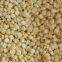 Frozen sweet corn