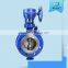 China supplier high performance 10 inch flanges worm gear metal seated triple eccentric butterfly valve