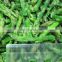 Sinocharm New Season Tender IQF Green Asparagus Tips Frozen Green Asparagus