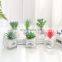 2021 Newest Artificial Succulents Tabletop Greenery Clear Square Glass Pots Pebble Rock Planter Plants Cactus For Home Decor