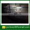 office stationary waterproof corrugated pp plastic sheet roll