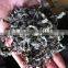 Factory Supply Sun Dried Cut Laminaria, Sun Dry Kelp in China, Fuzhou Seaweed