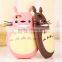 Fashion 3D Totoro Case For iPhone 5s ,for iPhone 5s Silicone Phone Cases