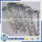 Eco-friendly alibaba supplier 1 1/4" coil roofing nail                        
                                                                                Supplier's Choice