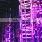 ShowJockey 5V-24V DMX Milky & Tawny Diffuser DMX512 LED Light