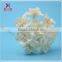 Most Popular Decorative Natural White Dried Flower wooden Sticks Wholesale with cheap price