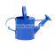 CHINA GARDEN WATERING CAN CHEAP IRON CANS