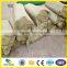 Stainless Steel Woven Wire Mesh for Filteration