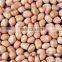 peanut kernel round type from China