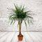 Artificial Silk Dracaena Tree, Plastic Plants