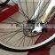 High performance electric bike racing bike with double suspension