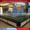 3D rendering architectural design model / Custom miniature architectural scale model for commercial plaza