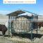 Hot sales sheep feeder horse feeder cattle feeder