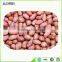 the largest supplier of peanuts kernel and best quality peanuts kernel