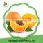 2016 Crop Frozen Yellow Peach Hot Sale