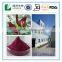 Hibiscus Flower Extract