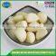 Fresh garlic cloves price