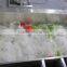 Full Automatic Industrial Ozone Leaf Vegetable Washing Machine