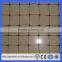 100 meters long HDPE anti bird netting /pond/fruit protect net/protection netting(Guangzhou Factory)