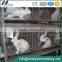 Galvanized Rabbit Breeding Farming Cage