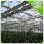 Good quality agricultural greenhouses with inside shading screen
