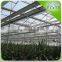 Good quality agricultural greenhouses with inside shading screen