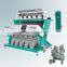 CCD green onion color sorter