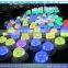 Battery operated mini led light