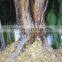 Home garden deco 50cm to 400 cm hight artificial white large Chinese wistaria EDHS1501 1607