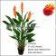 Hot Sale Flowering Artificial Strelitzia Tree