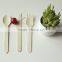 Wooden Disposable Cutlery 300 pc set 6inch