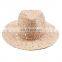 Wholesale unisex fashion design supreme summer raffia panama straw boater hat