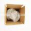 Auto Diesel Engine Parts QSX15 4923747 Piston Kit