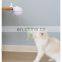 Electric LED cat laser teaser rolling ball toy automatic cat rotate teaser toy with feather