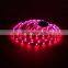 Factory Price 30leds per meter 5m roll smd 5050 rgb waterproof led strip light