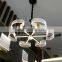 contemporary led luxury flower ceiling lamp with remote control from Zhongshan