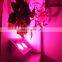 New waterproof 100W LED plant growth lamp greenhouse indoor planting vegetable melon fruit fill light